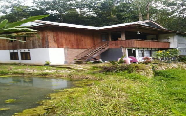 Wisma Papa Tia Toraja