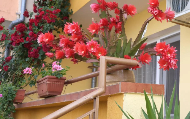 Guest house Stoyanovi