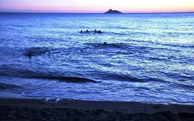 Studios Dimitra Beach Hotel