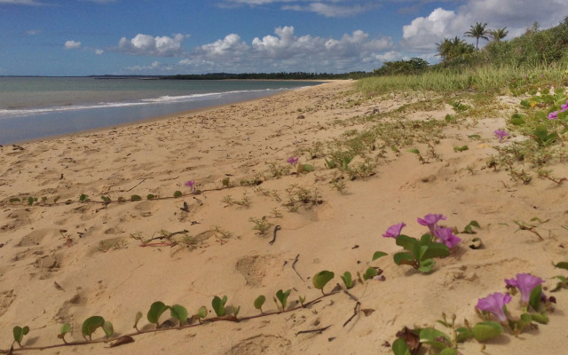 Village Mata Encantada