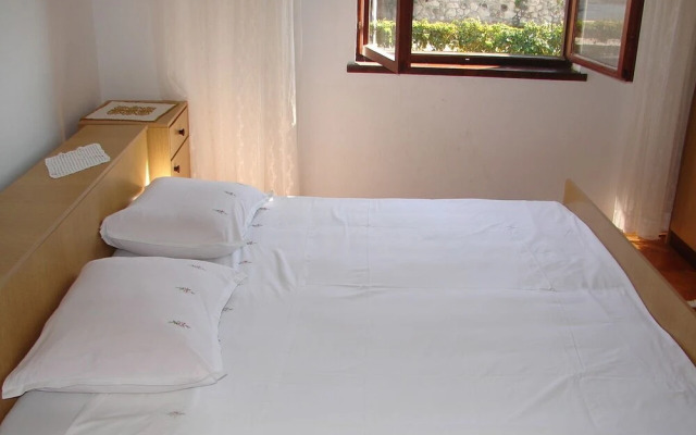 Ante - 50 M From the sea - A2