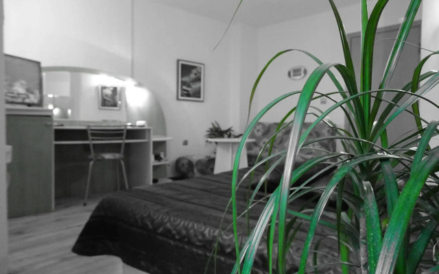 Hotel Color