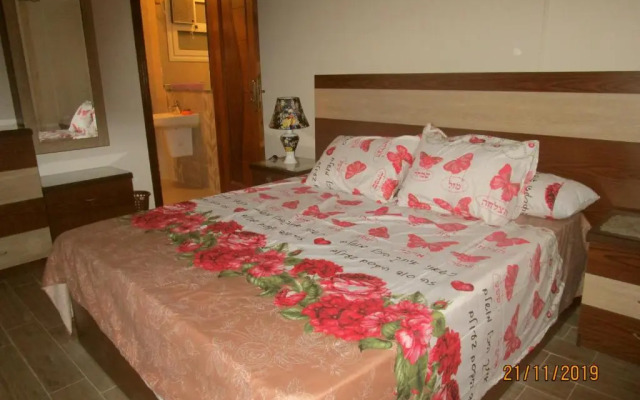 Luxury Furnished Apartment