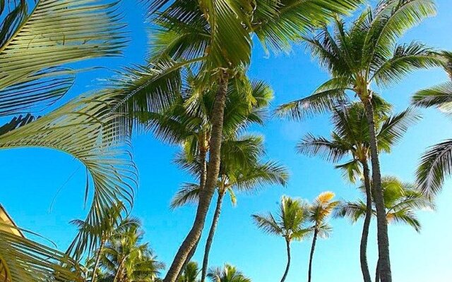 Puunoa Beach Estates, a Destination by Hyatt Residence