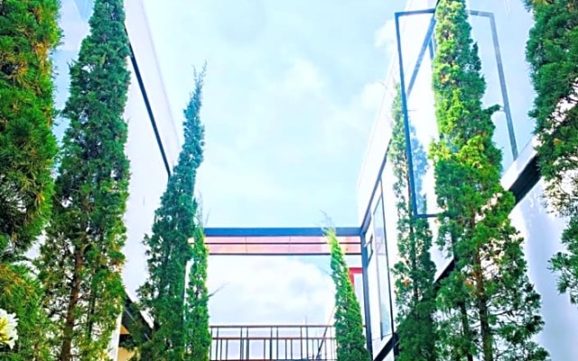 The Gold Living Life