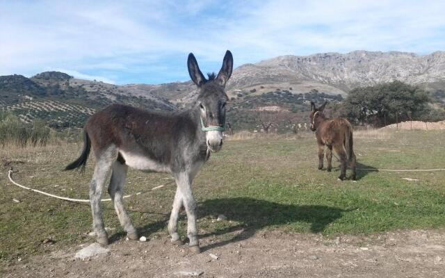 Cortijo El Llano