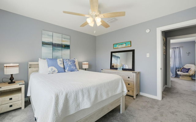 Sand Dollar 30