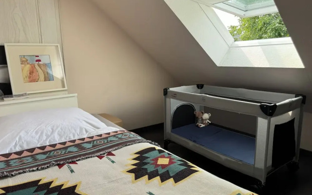 Modern House Gehrden contactless garden