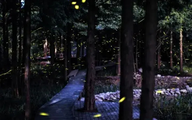 Yunqiju · Moganshan Guesthouse (Firefly Base)