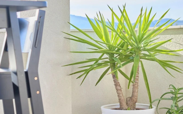 Ray Apartment Čiovo by Litto