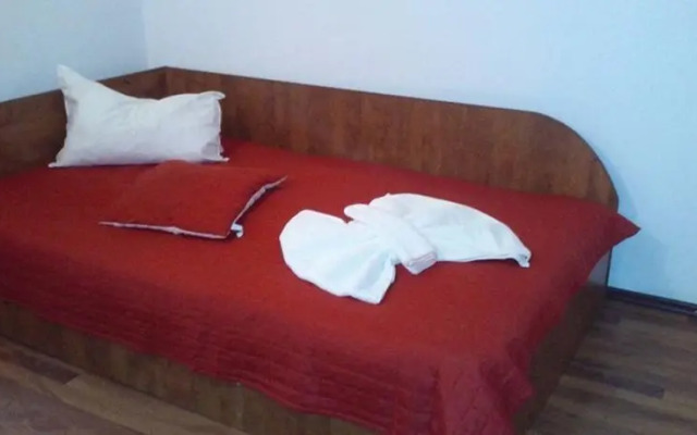 Pensiunea Europa Olanesti