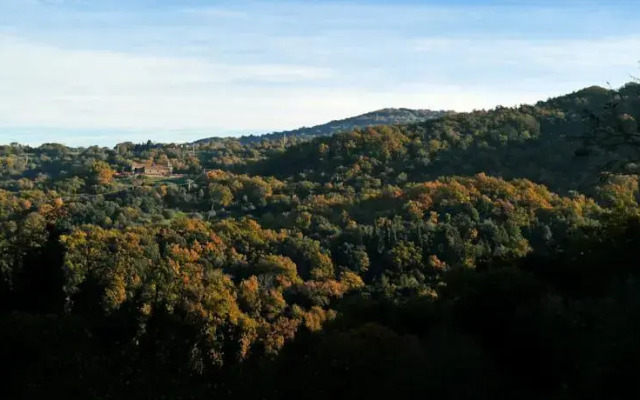 Il Moro In Piazzetta