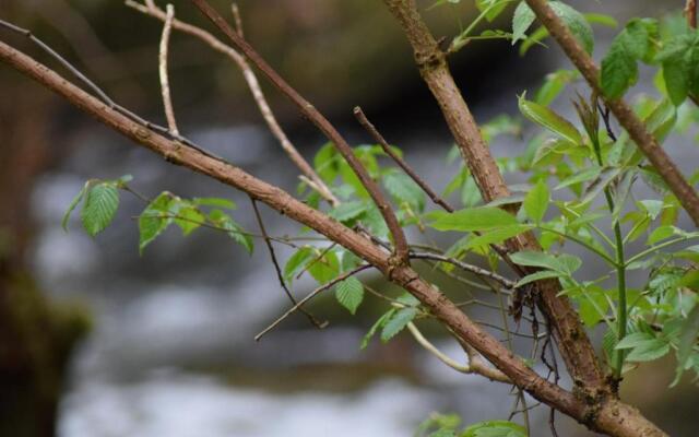 Altes Pfarrhaus Hunolstein