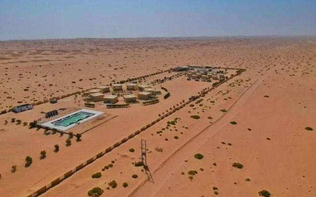 Golden Palm Oasis