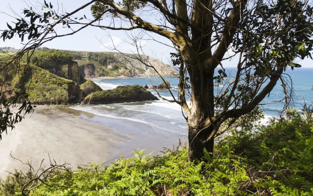 Ruralsurf - Hostel