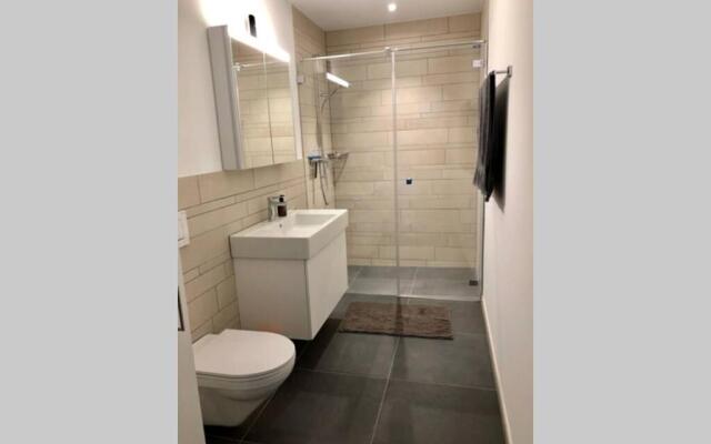 Beautiful Sunny New 1 Bed Apt (2.5Zim). Ski in/out