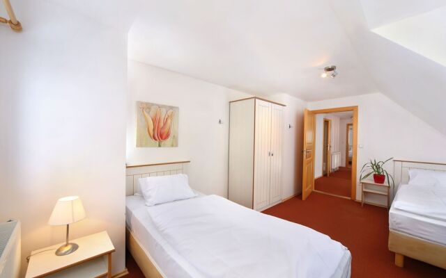 Comfortable Villa in Vrchlabí Near Ski Area