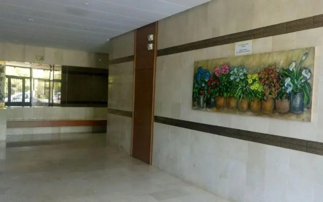 Estudio Ally