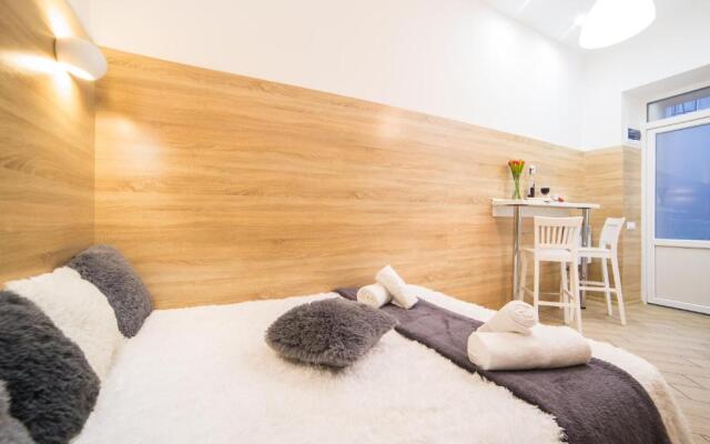 Mini Economy apartments- Filatova 10