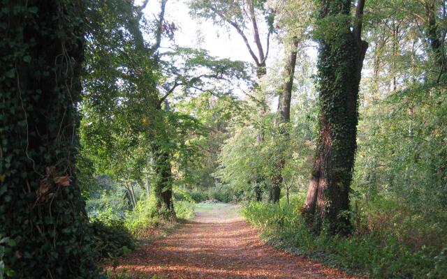 Apartment in Gerdshagen With Garden