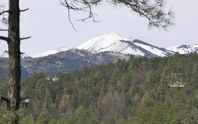 411alpinevillage100mtncb - Alpine Village Cabin #100