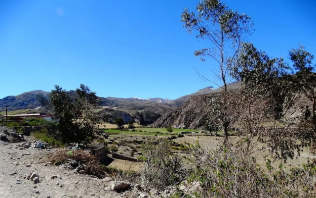 Pachamama Hostel & Tour