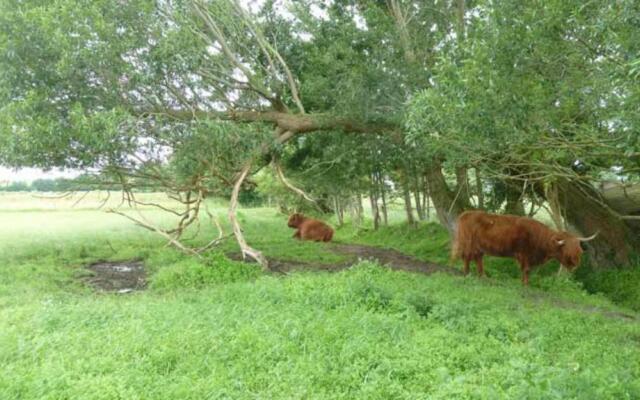 Schlei Ferienwohnung Country Garden (Ref. 176429)