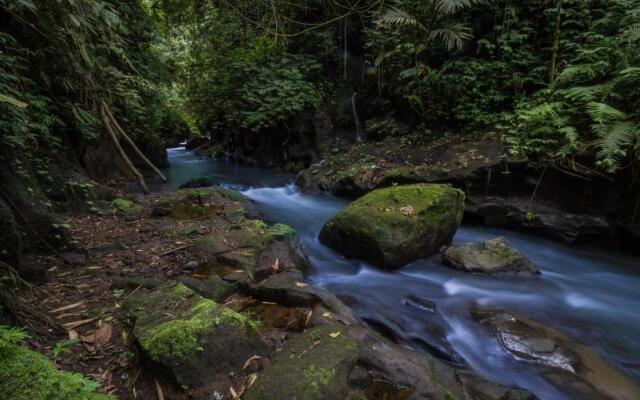 Bali Eco Adventure & Retreat Center