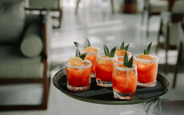 Radisson Blu Hotel Amritsar