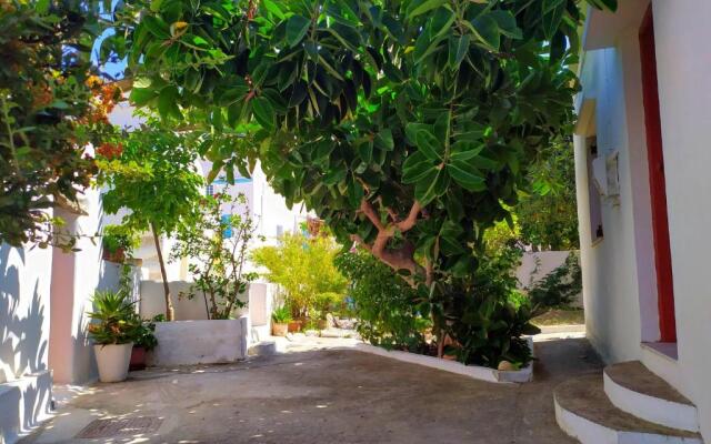 Almond trees house