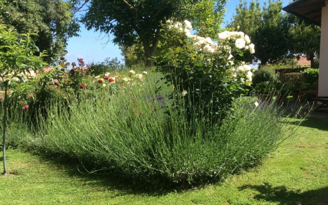 La Primavera B&B