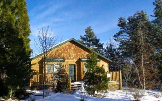 RedAwning Whispering Forest