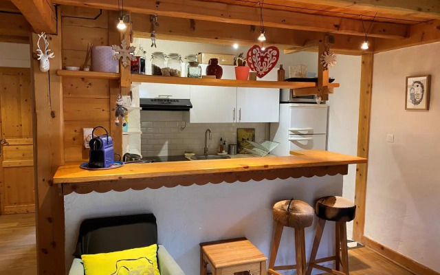 Appartement cosy au pied du MtBlanc