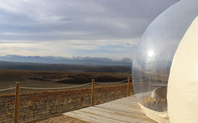 Wine Bubble