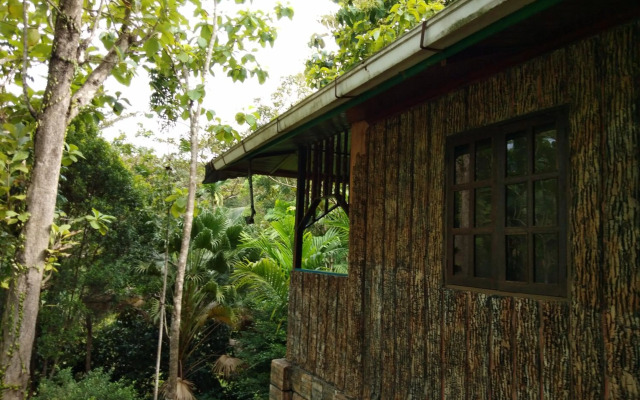 Sepilok Jungle Resort
