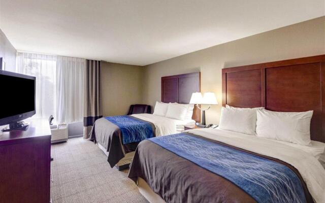 Comfort Inn and Suites Plano East