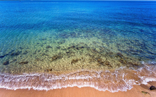 Lemontree Oceanfront Cottages