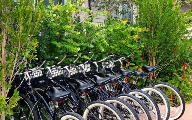 The Saint Hotel Key West, Autograph Collection, Adult Only