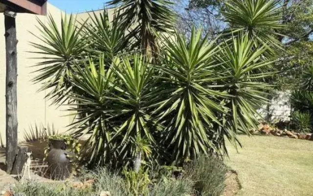 In2 Accommodation Guesthouse