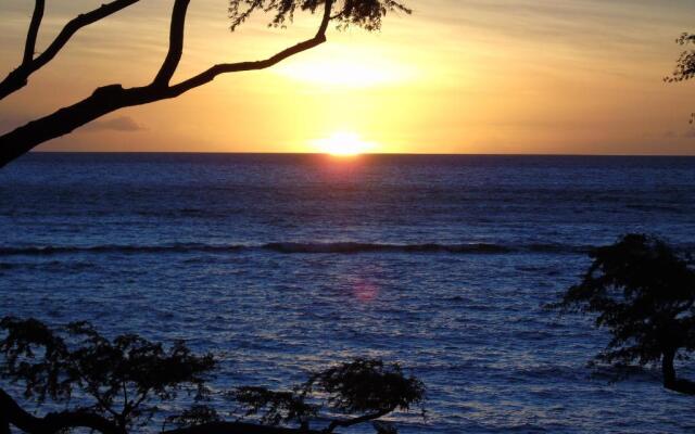 Aloha WAI2