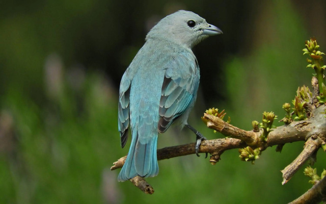 Viento Azul Guest House