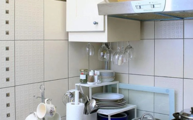 Apartment Lisinski S