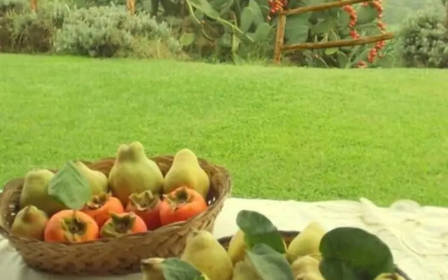 Agriturismo Casale Di Colle