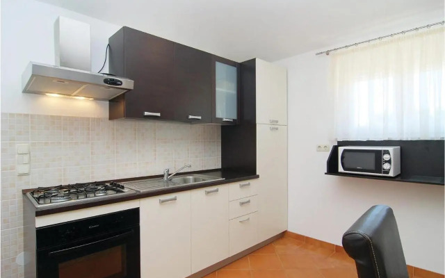 Apartment Stari put V