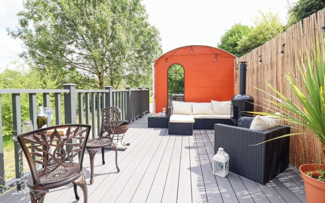 Red Kite at Wild Valley Huts