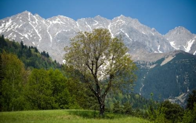 Kasperhof