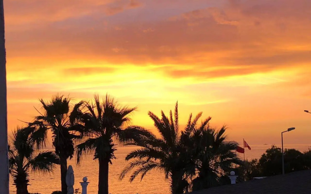 Sun and Sea Beach Hotel