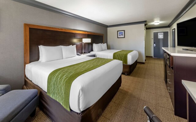 Comfort Inn & Suites Near Universal - N. Hollywood - Burbank