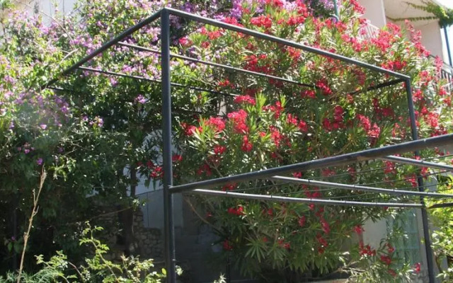 Apartments Stari Pavle