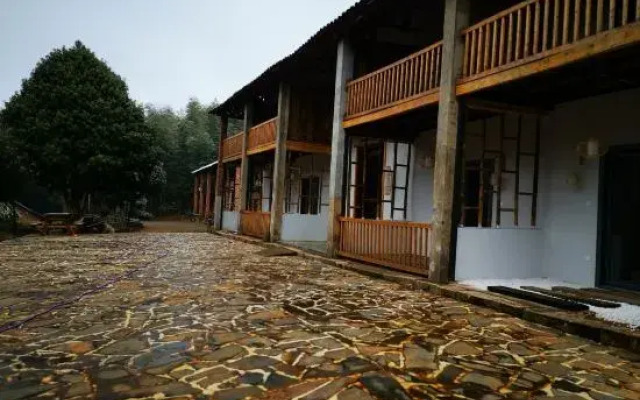 Life in Mountains
